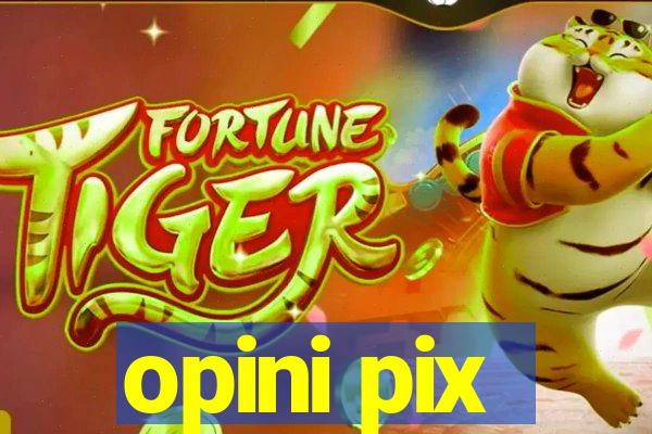 opini pix